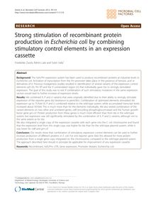 Strong stimulation of recombinant protein production in Escherichia coliby combining stimulatory control elements in an expression cassette