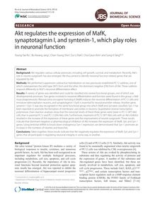 Akt regulates the expression of MafK, synaptotagmin I, and syntenin-1, which play roles in neuronal function