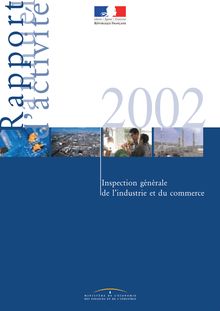 Rapport annuel d activité 2002 de l Inspection générale de l Industrie et du Commerce