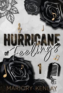 Hurricane Of Feelings
