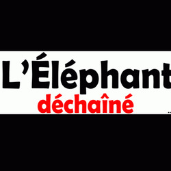elephant-dechaine