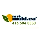 mri-mold