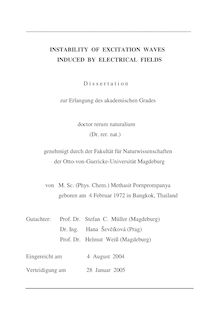 Instability of excitation waves induced by electrical fields [Elektronische Ressource] / von Methasit Pornprompanya