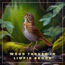Wood Thrush in Limpid Brook: Gentle Birdsong and Water Trickle