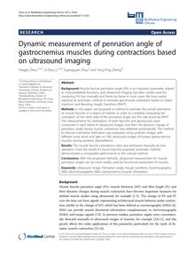 Dynamic measurement of pennation angle of gastrocnemius muscles during contractions based on ultrasound imaging