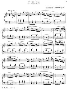 Partition No., Tulip, Bunte Blumen, Op.111, Flowers / Les Fleurssechs leichte u. melodische Uebungsstücke