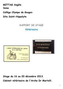 Rapport de stage Angèle Mittag