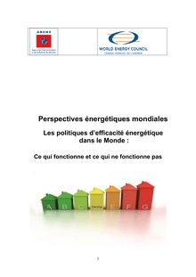 Perspectives énergétiques mondiales : Les politiques d’efficacité énergétique dans le Monde - Ce qui fonctionne et ce qui ne fonctionne pas (Synthèse du rapport de l'ADEME)