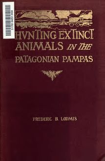 Hunting extinct animals in the Patagonian Pampas