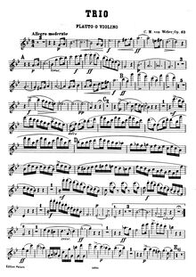Partition flûte (ou violon) , partie, Trio, G minor, Weber, Carl Maria von