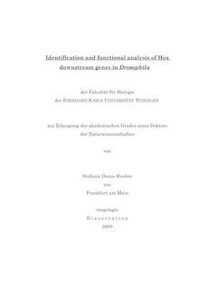 Identification and functional analysis of Hox downstream genes in Drosophila [Elektronische Ressource] / von Stefanie Diana Hueber