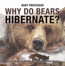 Why Do Bears Hibernate? Animal Book Grade 2 | Children s Animal Books