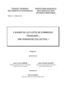 L avenir de la flotte de commerce française : une démarche collective : rapport au ministre de l équipement, des transports et du logement