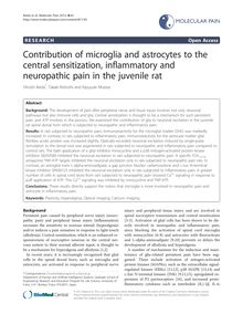 Contribution of microglia and astrocytes to the central sensitization, inflammatory and neuropathic pain in the juvenile rat