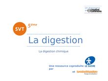 La digestion (2)