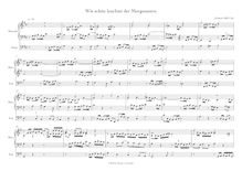 Partition Variante der Ergänzung / Variation of completion, choral préludes