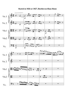 Partition Fragmentary sketches, corde quintette en C major, C major