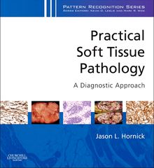 Practical Soft Tissue Pathology: A Diagnostic Approach E-Book