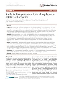 A role for RNA post-transcriptional regulation in satellite cell activation