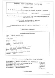 Bp fleuriste environnement economique juridique et social de l entreprise 2003