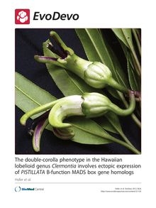 The double-corolla phenotype in the Hawaiian lobelioid genus Clermontia involves ectopic expression of PISTILLATA B-function MADS box gene homologs