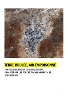 Rapport Amnesty International : Amnesty accuse le Soudan d attaques chimiques au Darfour