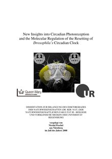 New insights into circadian photoreception and the molecular regulation of the resetting of Drosophila s circadian clock [Elektronische Ressource] / vorgelegt von Nicolai Peschel