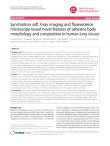 Synchrotron soft X-ray imaging and fluorescence microscopy reveal novel features of asbestos body morphology and composition in human lung tissues