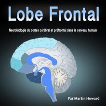 Lobe Frontal: Neurobiologie du cortex cérébral et préfrontal dans le cerveau humain (French Edition)