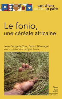 Le fonio, une céréale africaine