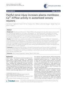 Painful nerve injury increases plasma membrane Ca2+-ATPase activity in axotomized sensory neurons