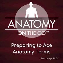 Preparing To Ace Anatomy Terms