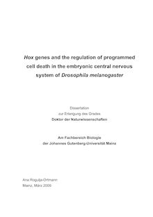 Hox genes and the regulation of programmed cell death in the embryonic central nervous system of Drosophila melanogaster [Elektronische Ressource] / Ana Rogulja-Ortmann
