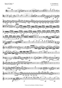 Partition , Allegro, Concerto pour violon, violoncelle et Piano