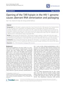 Opening of the TAR hairpin in the HIV-1 genome causes aberrant RNA dimerization and packaging