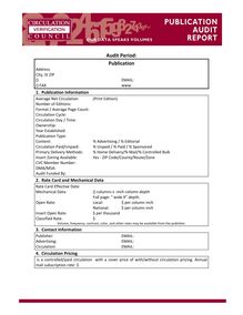 CVC--ADMIN--2007 SAMPLE AUDIT REPORT TEMPLATEx