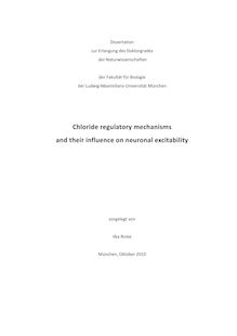 Chloride regulatory mechanisms and their influence on neuronal excitability [Elektronische Ressource] / vorgelegt von Ilka Rinke