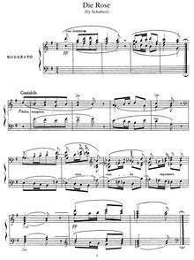 Partition complète (3rd version, S.556/3), Die Rose, D.745 (Op.73)