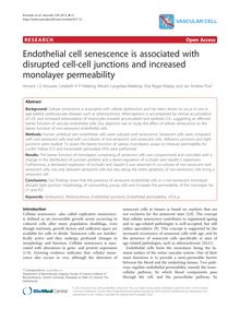 Endothelial cell senescence is associated with disrupted cell-cell junctions and increased monolayer permeability