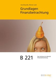 Grundlagen Finanzanalyse - Theoriebuch