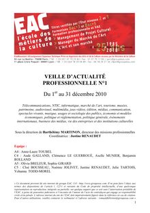 VEILLE D ACTUALITÉ PROFESSIONNELLE N°1 Du 1 au 31 décembre 2010