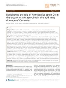 Deciphering the role of Paenibacillusstrain Q8 in the organic matter recycling in the acid mine drainage of Carnoulès