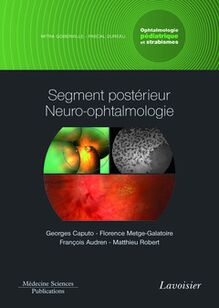 Segment postérieur neuro-ophtalmologie. Volume 3 - coffret Ophtalmologie pédiatrique et strabismes (Coll. Ophtalmologie)