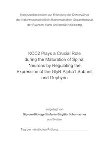 KCC2 plays a crucial role during the maturation of spinal neurons by regulating the expression of the GlyR alpha1 subunit and gephyrin [Elektronische Ressource] / vorgelegt von Stefanie Birgitta Schumacher