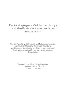 Electrical synapses [Elektronische Ressource] : cellular morphology and identification of connexins in the mouse retina / von Luis Pérez de Sevilla Müller