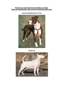 Photos des races de chiens, qui figurent sur la liste des races de ...