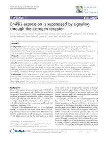 BMPR2 expression is suppressed by signaling through the estrogen receptor