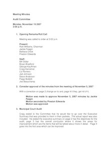 Minutes - November 19, 2007 - Audit Committee