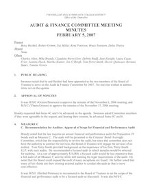Audit Minutes 02-05-07