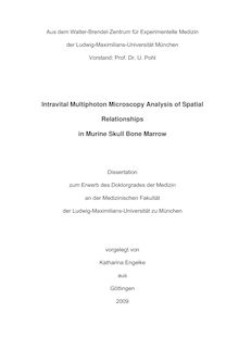 Intravital multiphoton microscopy analysis of spatial relationships in murine skull bone marrow [Elektronische Ressource] / vorgelegt von Katharina Engelke
